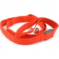 FixtureDisplays® Dogs LED Light Leashes Safe Cats Leashes-Red 12212